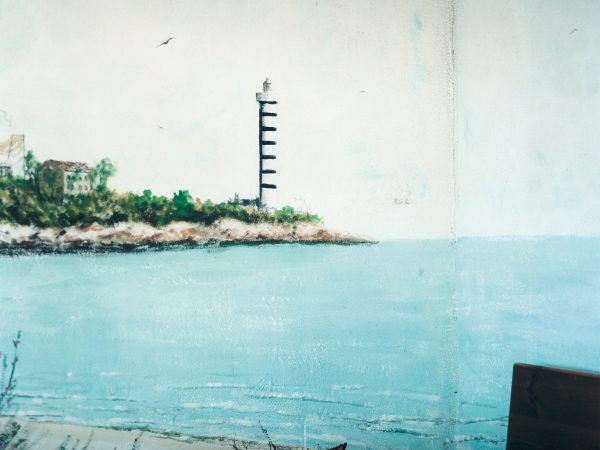 CAVALLINO_ Guido Guidi 10 copia